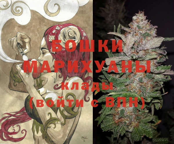 мдпв Кинешма