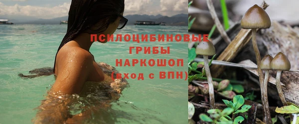 мет Алзамай